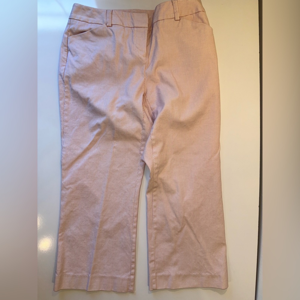 ANN TAYLOR WIDE LEG RED & WHITE THIN STRIPE BUTTON FRONT PANTS SZ 2P